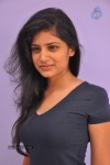 Shwetha Pandit Latest Stills - 49 of 68