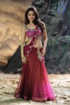 Tamanna High Resolution Stills - 49 of 82