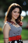 Tamanna New Gallery - 67 of 73