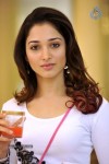 Tamanna Hot Photo Gallery - 65 of 82