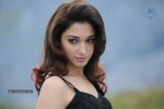 Tamanna Hot Photos - 48 of 151