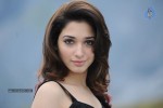 Tamanna Hot Photos - 121 of 151