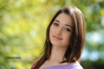 Tamanna Hot Photos - 67 of 70