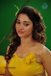 Tamanna New Spicy Photos - 47 of 89