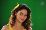 Tamanna New Spicy Photos - 76 of 89