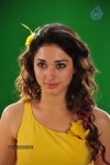 Tamanna New Spicy Photos - 78 of 89