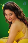 Tamanna New Spicy Photos - 82 of 89