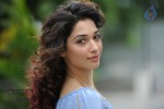 Tamanna Photo Gallery - 101 of 110