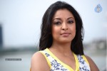 Tanushree Dutta New Stills  - 8 of 33