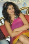 Tapsee Latest Pics - 16 of 49