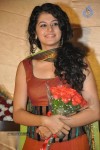 Tapsee Latest Stills - 69 of 72