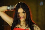 Tara Alisha Hot Stills - 44 of 58