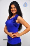 Tasha Latest Hot Stills - 53 of 53