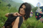 Tashu Kaushik Latest Stills - 97 of 98