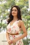 Tridha Choudhury New Gallery - 51 of 81