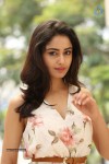 Tridha Choudhury New Gallery - 54 of 81