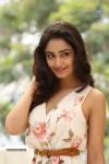 Tridha Choudhury New Gallery - 57 of 81