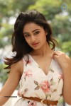 Tridha Choudhury New Gallery - 75 of 81