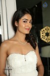 Tridha Stills - 99 of 170