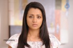 Trisha New Photos - 12 of 36