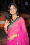 Vidisha New Stills - 42 of 66