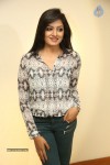 Vimala Raman New Pics - 14 of 62