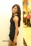 Vithika Sheru Gallery - 55 of 65