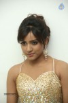 Vithika Sheru Latest Gallery - 31 of 80