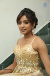 Vithika Sheru Latest Gallery - 33 of 80