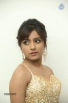 Vithika Sheru Latest Gallery - 44 of 80