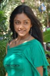 Vithika Stills - 56 of 83