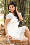 Yamini Bhaskar New Photos - 16 of 82