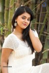 Yamini Bhaskar New Photos - 67 of 82