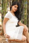 Yamini Bhaskar New Photos - 76 of 82