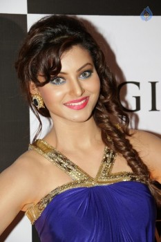 Urvashi Rautela at IIJW 2015