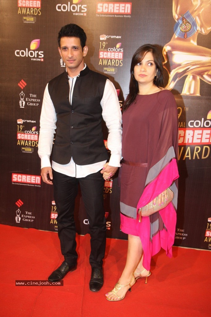 19th Annual Colors Screen Awards 2013 - 7 / 173 photos