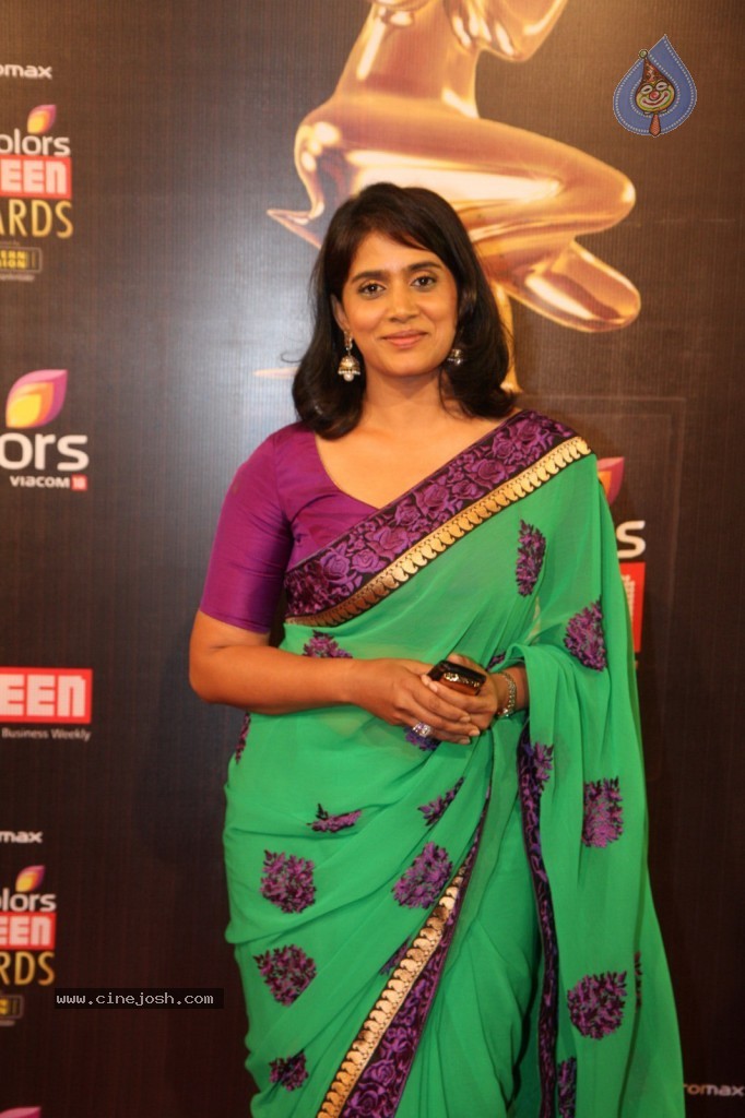 19th Annual Colors Screen Awards 2013 - 33 / 173 photos