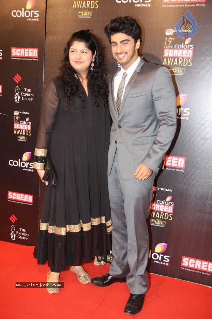 19th Annual Colors Screen Awards 2013 - 60 / 173 photos