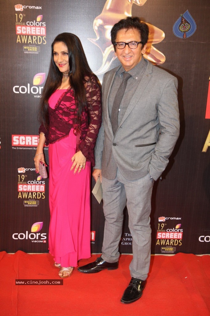 19th Annual Colors Screen Awards 2013 - 69 / 173 photos