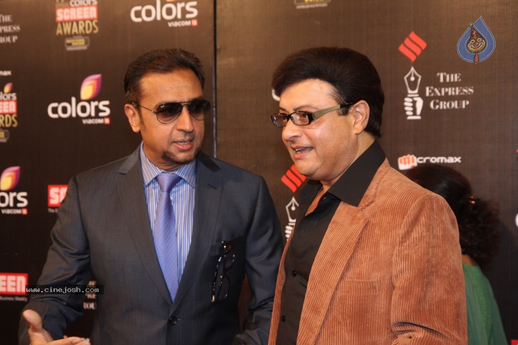 19th Annual Colors Screen Awards 2013 - 82 / 173 photos