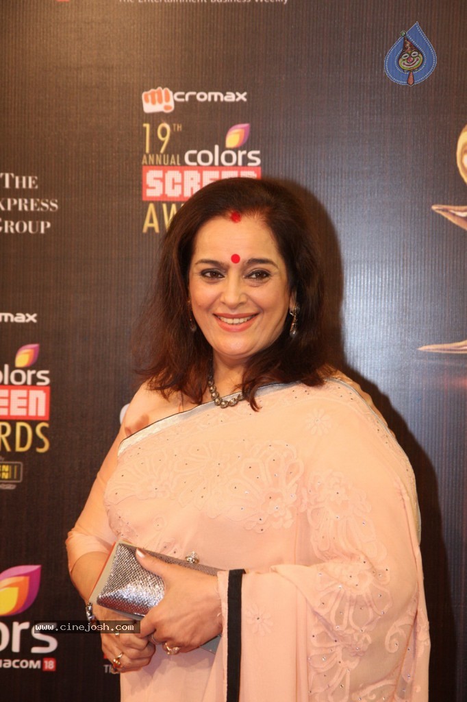 19th Annual Colors Screen Awards 2013 - 88 / 173 photos