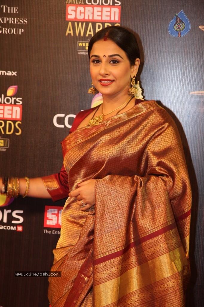 19th Annual Colors Screen Awards 2013 - 90 / 173 photos