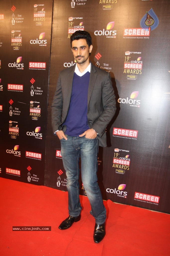 19th Annual Colors Screen Awards 2013 - 91 / 173 photos