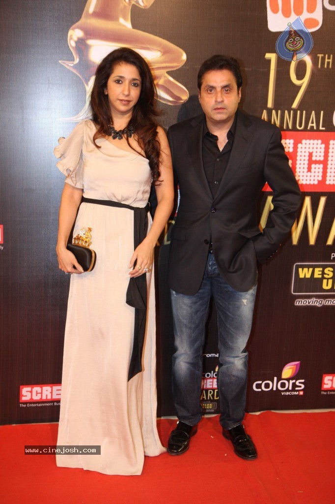 19th Annual Colors Screen Awards 2013 - 97 / 173 photos