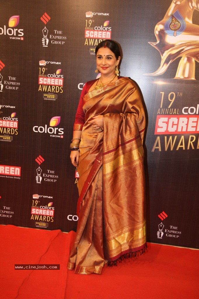 19th Annual Colors Screen Awards 2013 - 112 / 173 photos