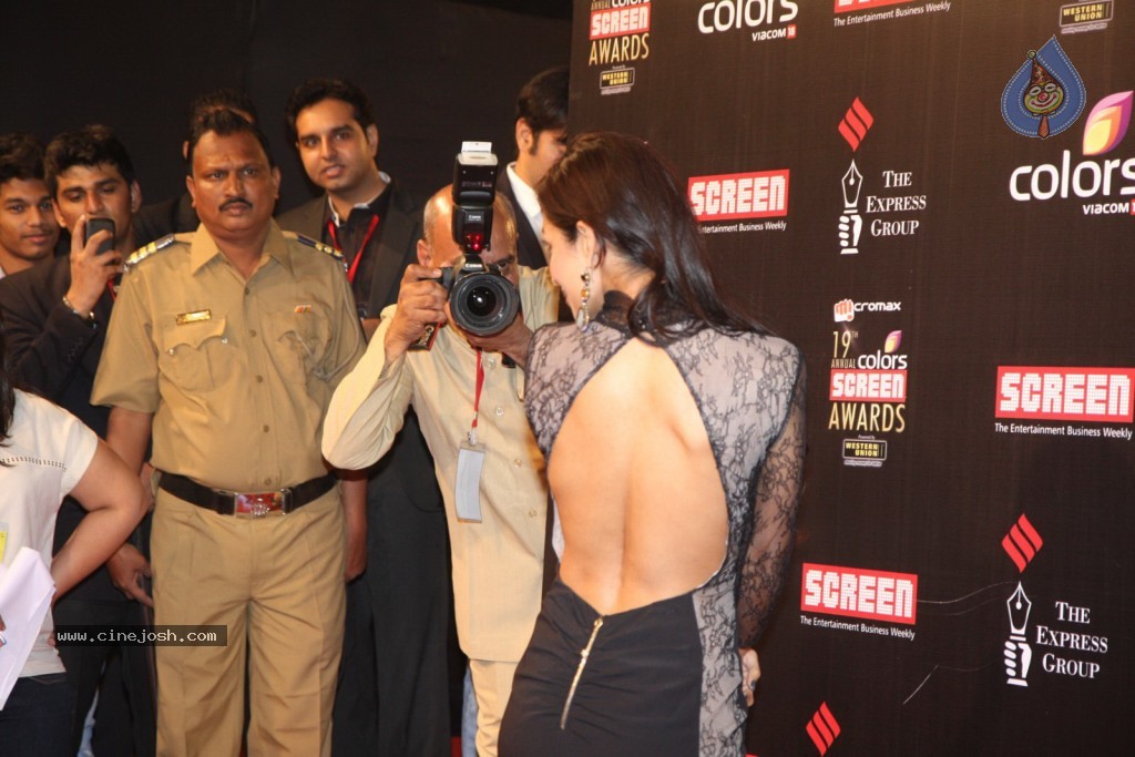 19th Annual Colors Screen Awards 2013 - 124 / 173 photos