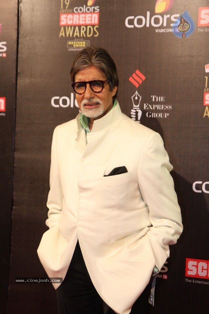 19th Annual Colors Screen Awards 2013 - 151 / 173 photos