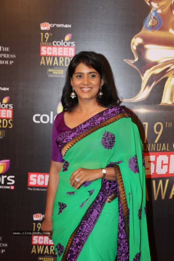 19th Annual Colors Screen Awards 2013 - 154 / 173 photos