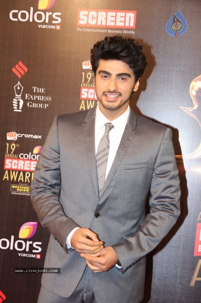 19th Annual Colors Screen Awards 2013 - 166 / 173 photos