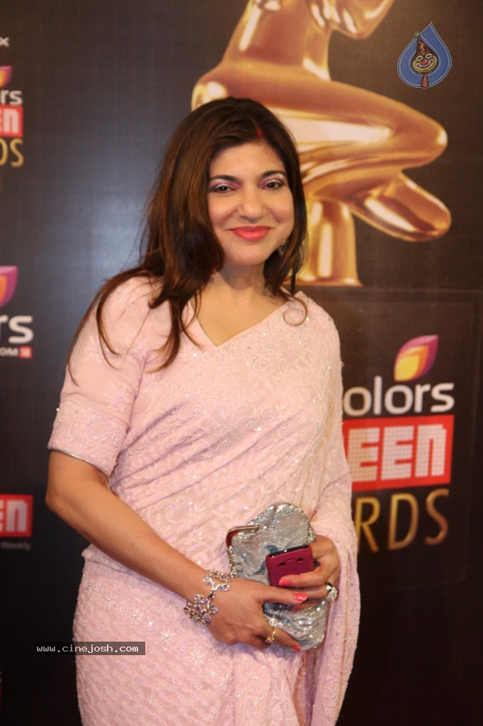 19th Annual Colors Screen Awards 2013 - 170 / 173 photos